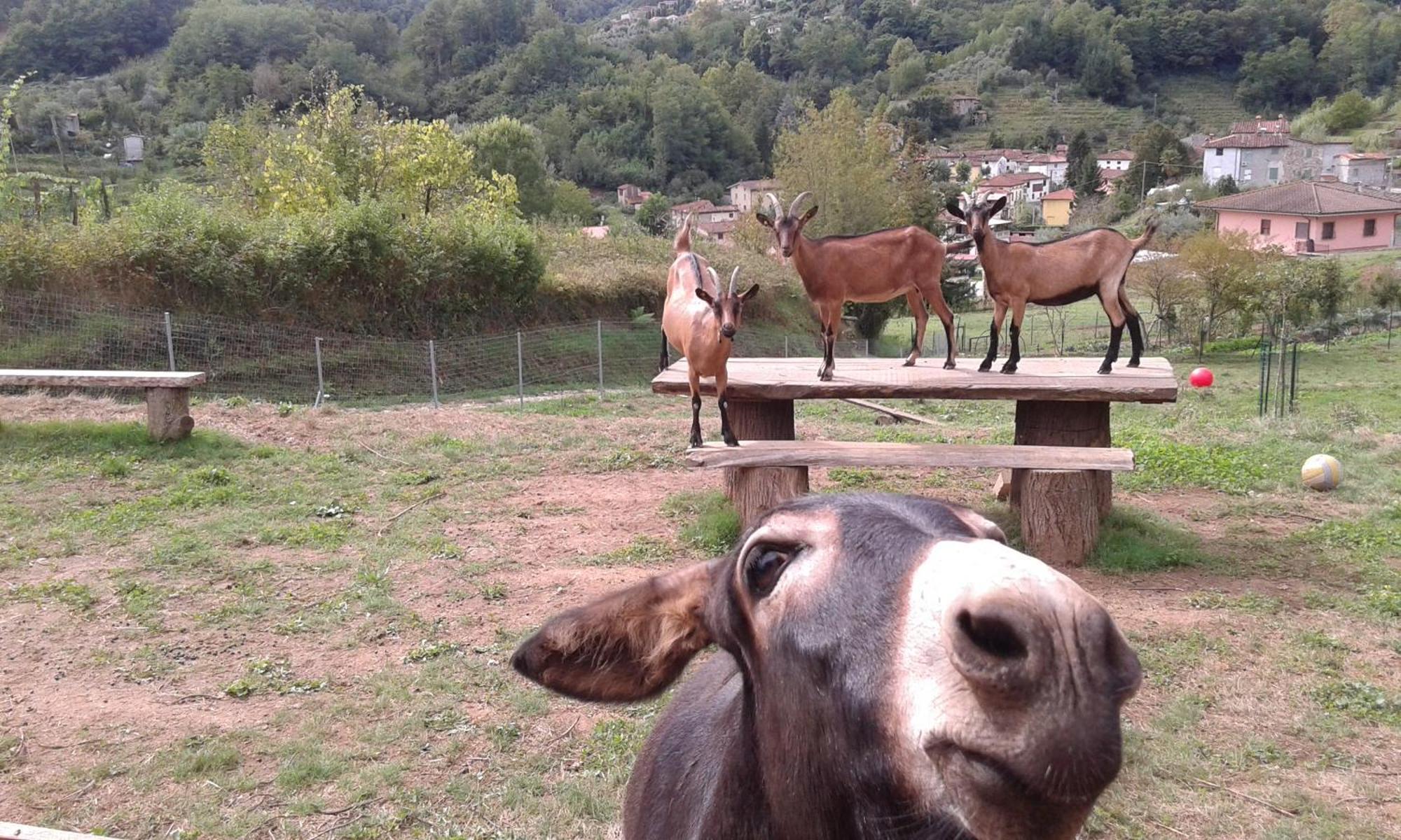 La Finestra Sulla Valle