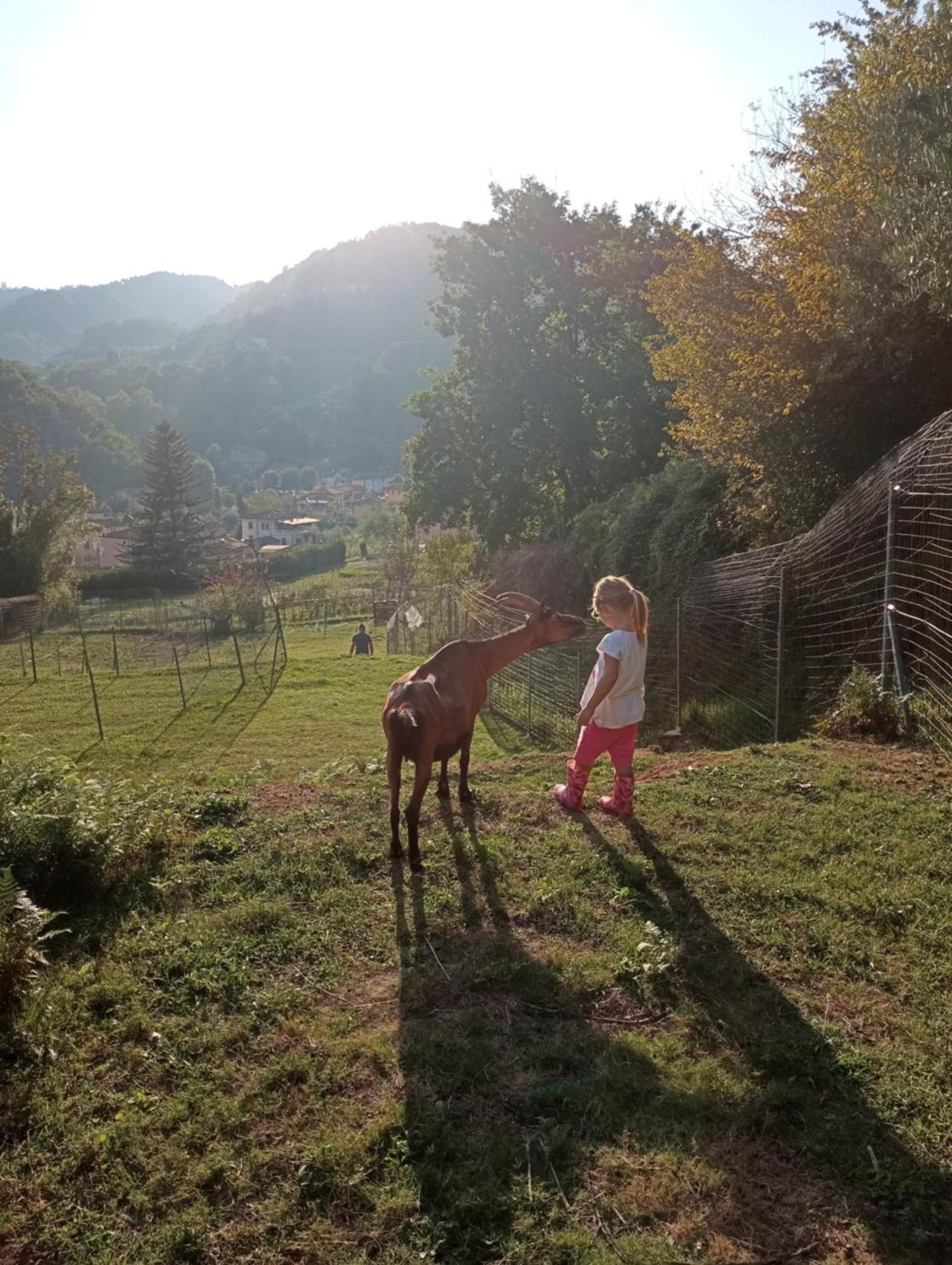La Finestra Sulla Valle * Valdottavo